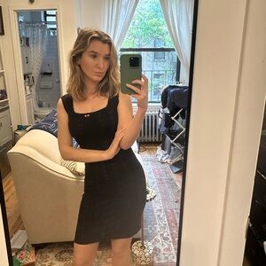 36 NWOT Rouje Armella dress